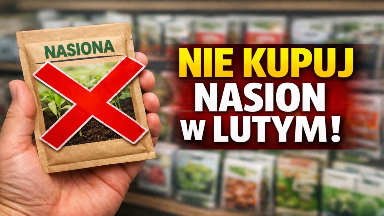 Nie kupujcie nasion w lutym, zanim tego nie zobaczycie! 20 roślin dla wymarzonego plonu.