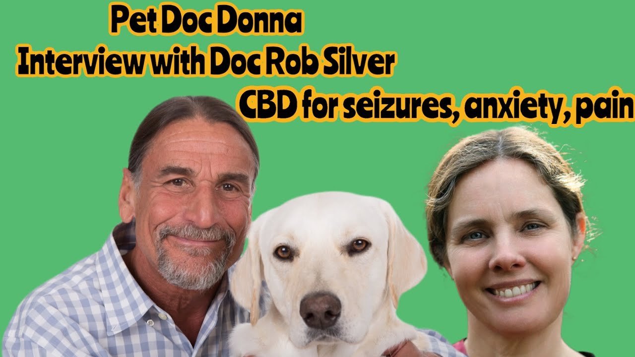 Pet Doc Donna interviews Doc Rob Silver in depth about the use of CBD for seizures, anxiety and pain