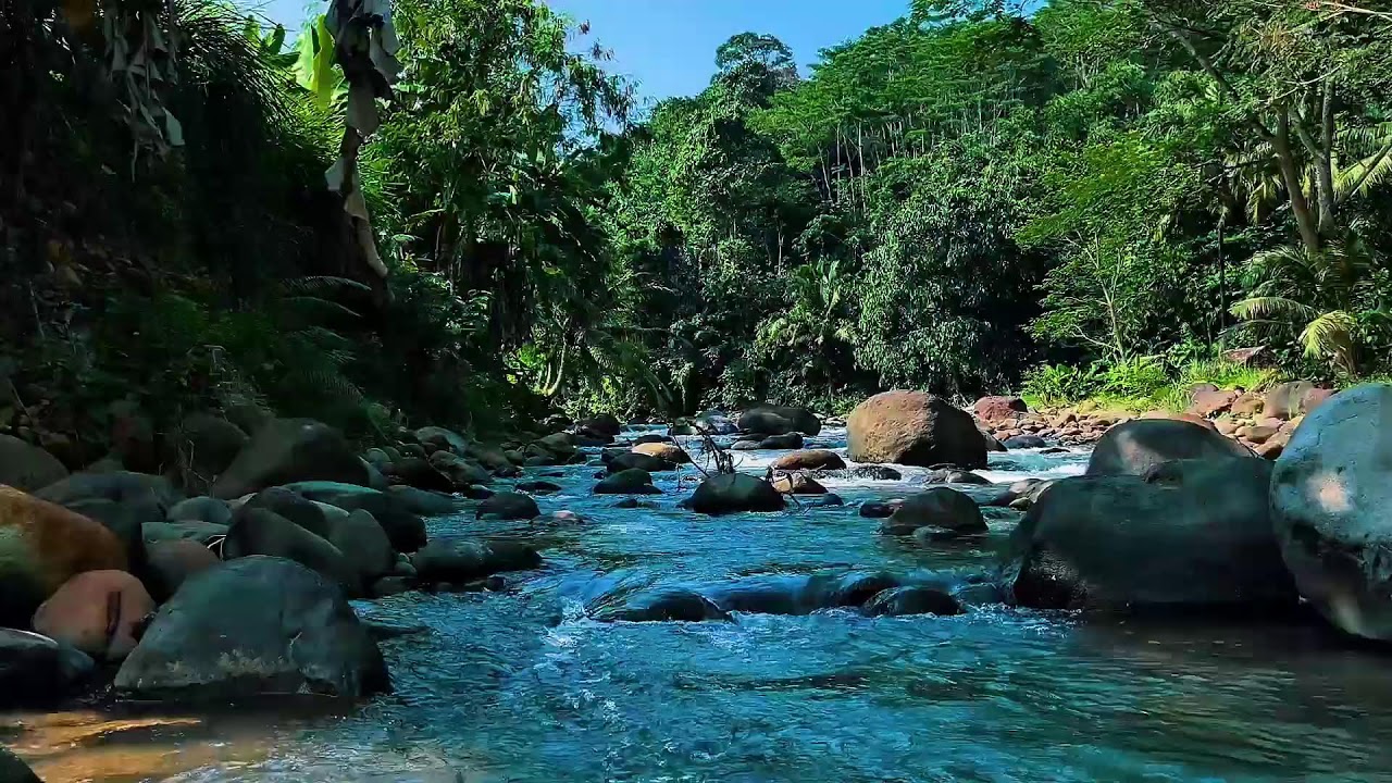 Crystal Blue Forest River Sound for Deep Sleep | Healing Nature Water Relaxation