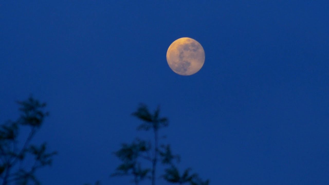 小田和正/蘇州夜曲