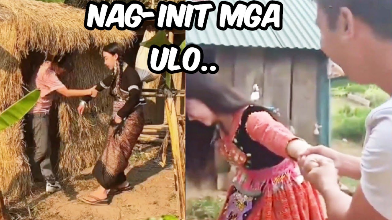 UMINIT ang mga ULO Gustong SUMILONG sa MALAMIG na KUBO!