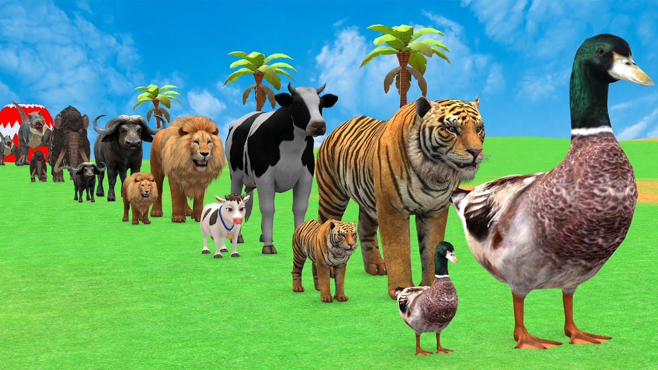 Long Slide Game with Cow Elephant Gorilla Hippopotamus Tiger 3d Animal Game Funny 3d Animals