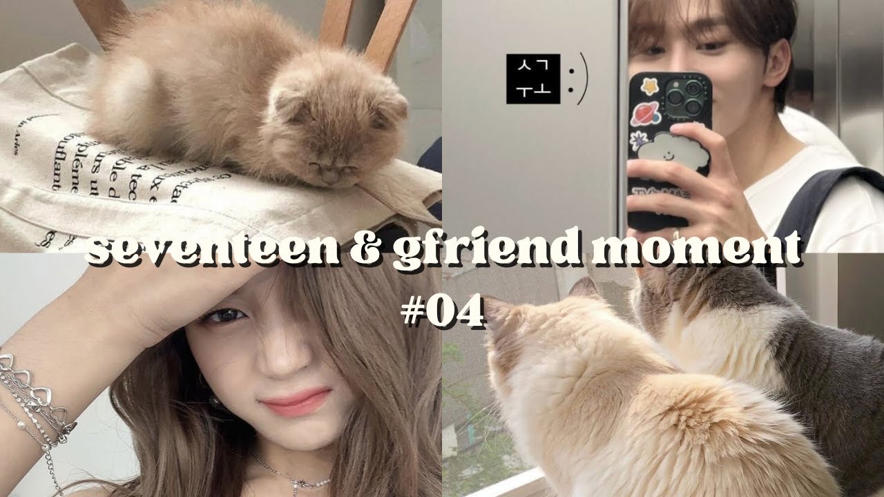 세븐틴 여자친구 순간 seventeen and gfriend moments #04