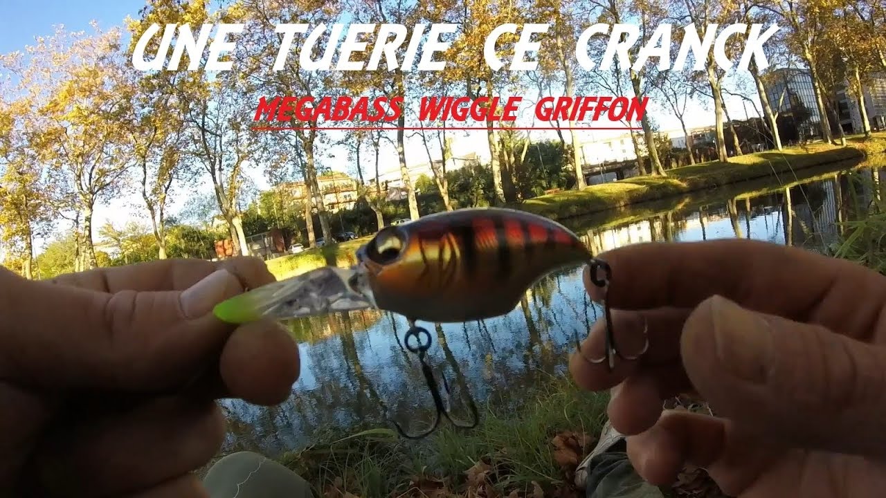 Session au Megabass WIGGLE GRIFFON:Pêche Urbaine Toulouse
