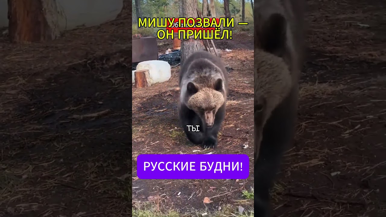 ОБЫЧНЫЙ ДЕНЬ ГДЕ-ТО В РОССИИ!!!