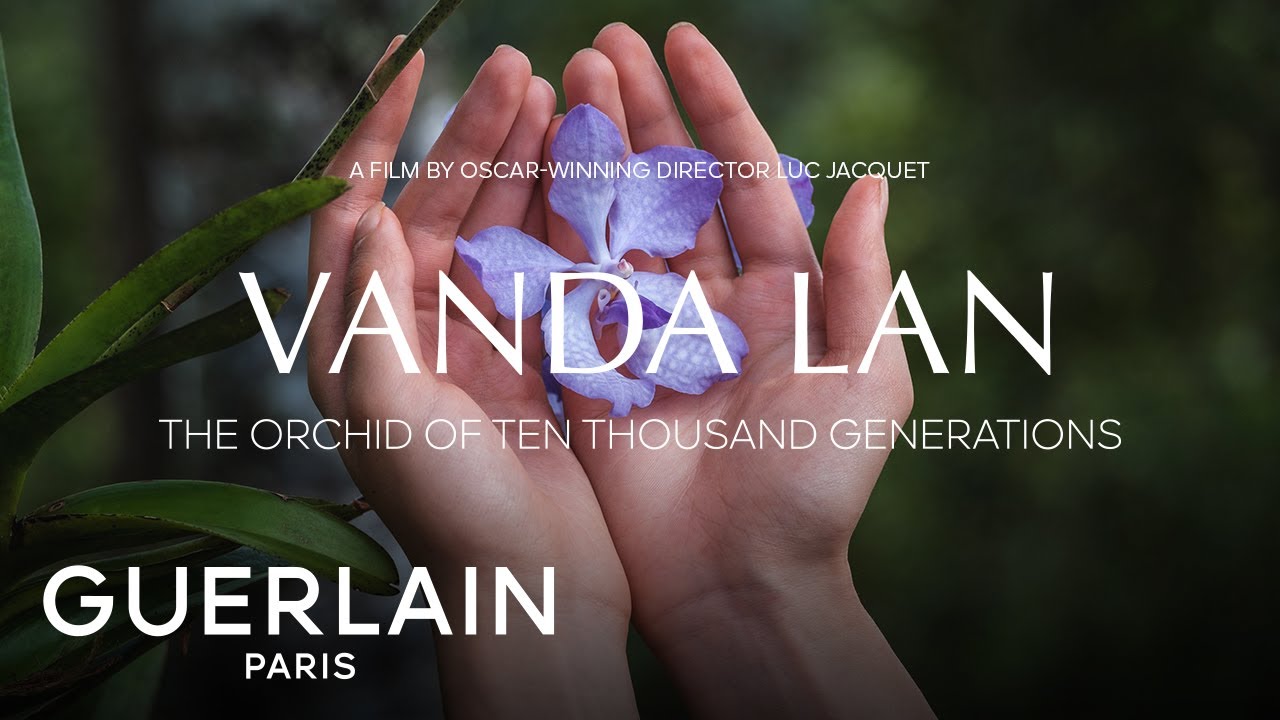 Vanda Lan: The Orchid of Ten Thousand Generations | GUERLAIN