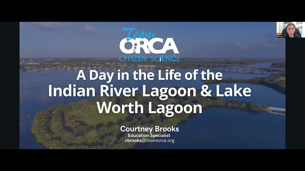 All About A Day in the Life of the Indian River Lagoon with ORCA