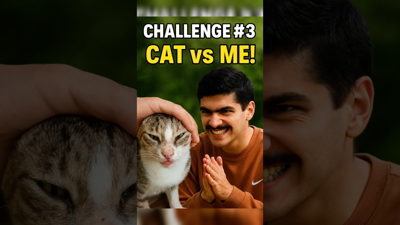 CAT vs ME! who can catch the FACE!? 🐾🐾🐾🐾🐾🐾🐾🐾🐾🐾🐾😺😺😺😺🐾🐾 #cat#cutecat #shorts #challenge@directedbykalvani