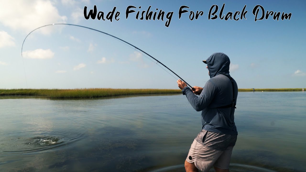Wade Fishing for Black Drum | Fly Fishing | Feat. The Skiff Wanderer