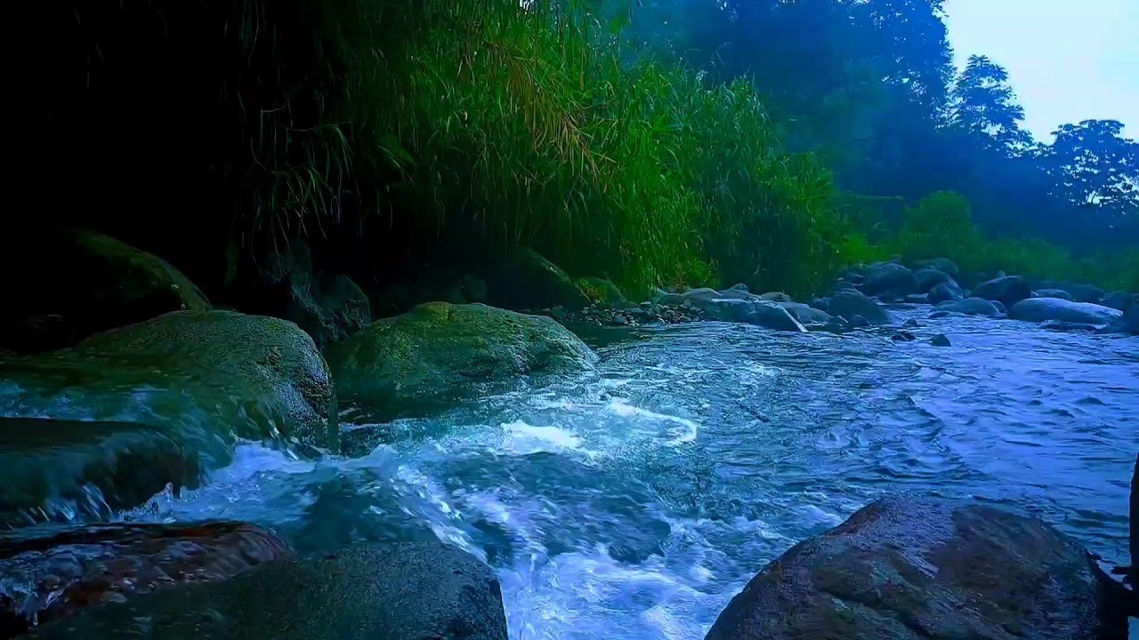 🌊 Deep Nature River ASMR Sounds for Deep Sleep, Relaxation & Stress Relief