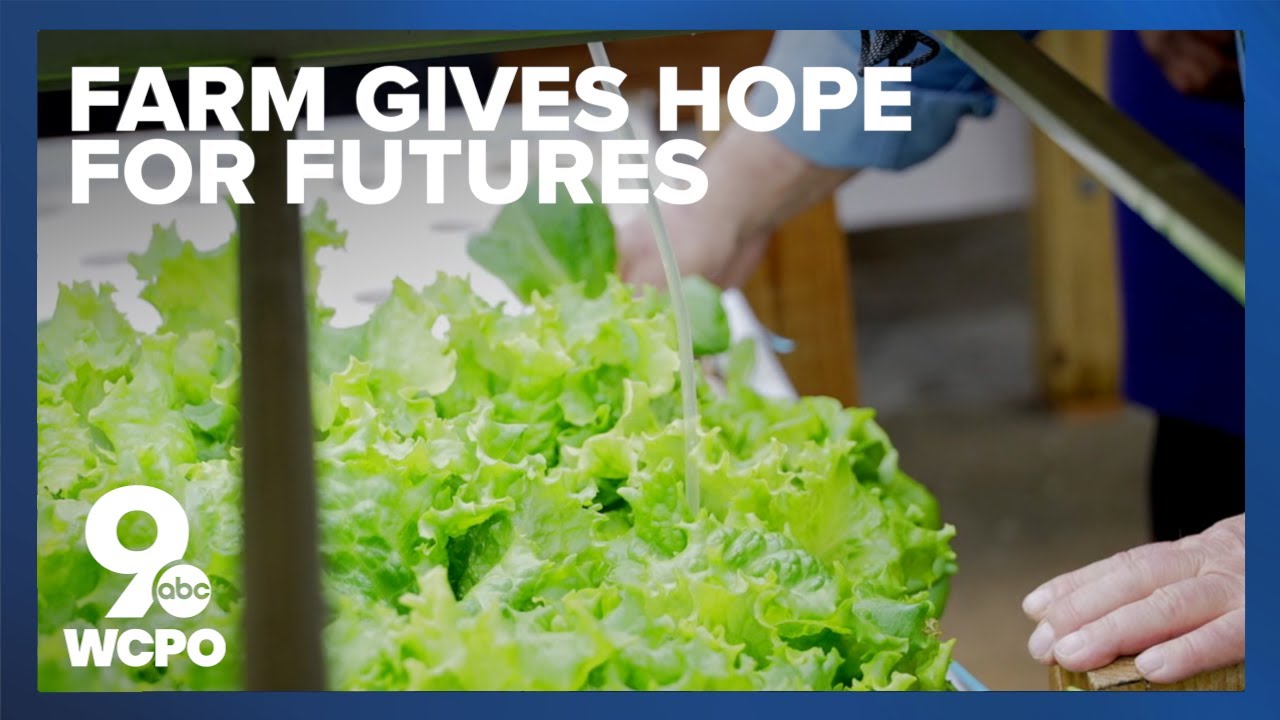 This farm provides former inmates a second chance