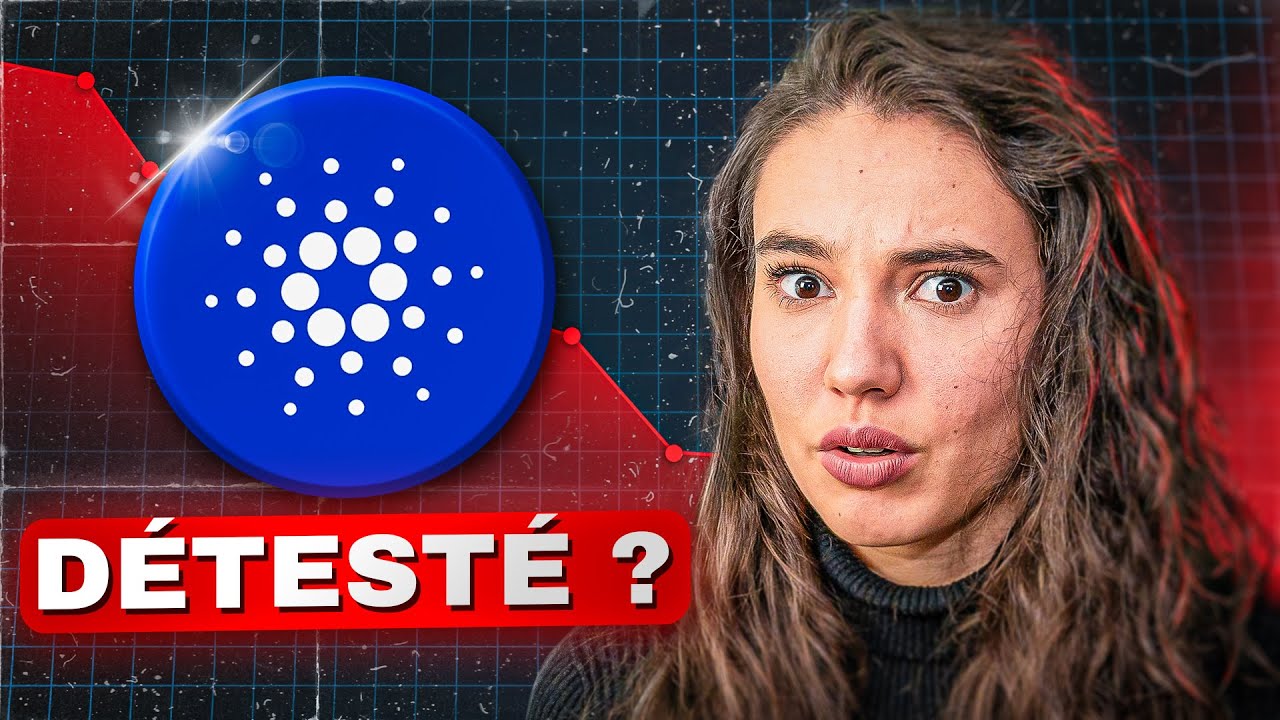 CARDANO : Pourquoi tout le monde déteste cette blockchain ?