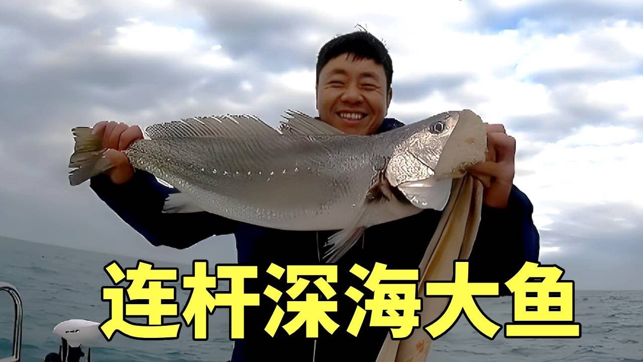 接近天黑，深海大鮸魚瘋狂咬鉤，連桿大鮸魚的感覺太刺激啦！【钓鱼大锋子】