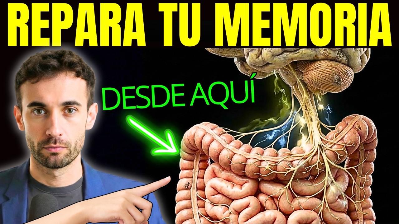 Tu INTESTINO Decide Si Tu Cerebro Funciona o Se APAGA