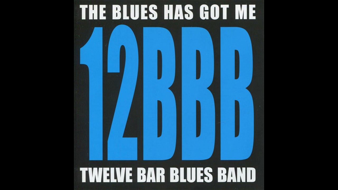 TWELVE BAR BLUES BAND - Best of 'THE BLUES HAS GOT ME' (2006)