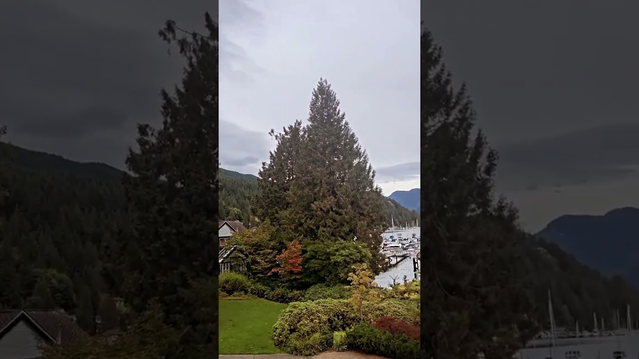 Deepcove Lake, North vancouver, BC, Canada 🇨🇦