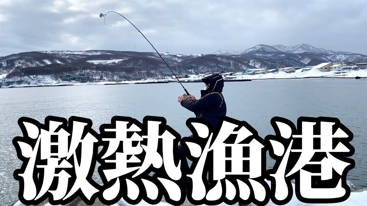 【北海道】【釣り】恐ろしく釣れる漁港に大興奮