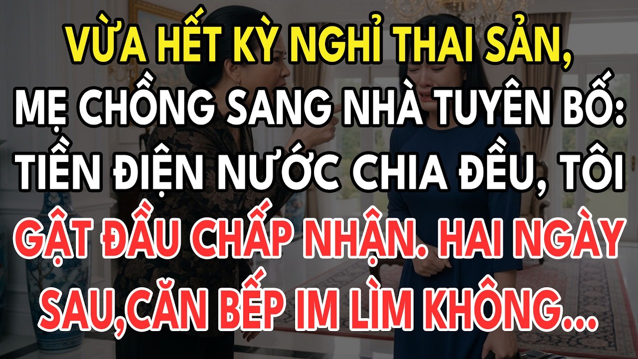 Vừa Hết Kỳ Nghỉ Thai Sản, Mẹ Chồng Sang Nhà Nói: Tiền Điện Ngước Chia Đều Tôi Chấp Nhận. Hai Ngày Sa