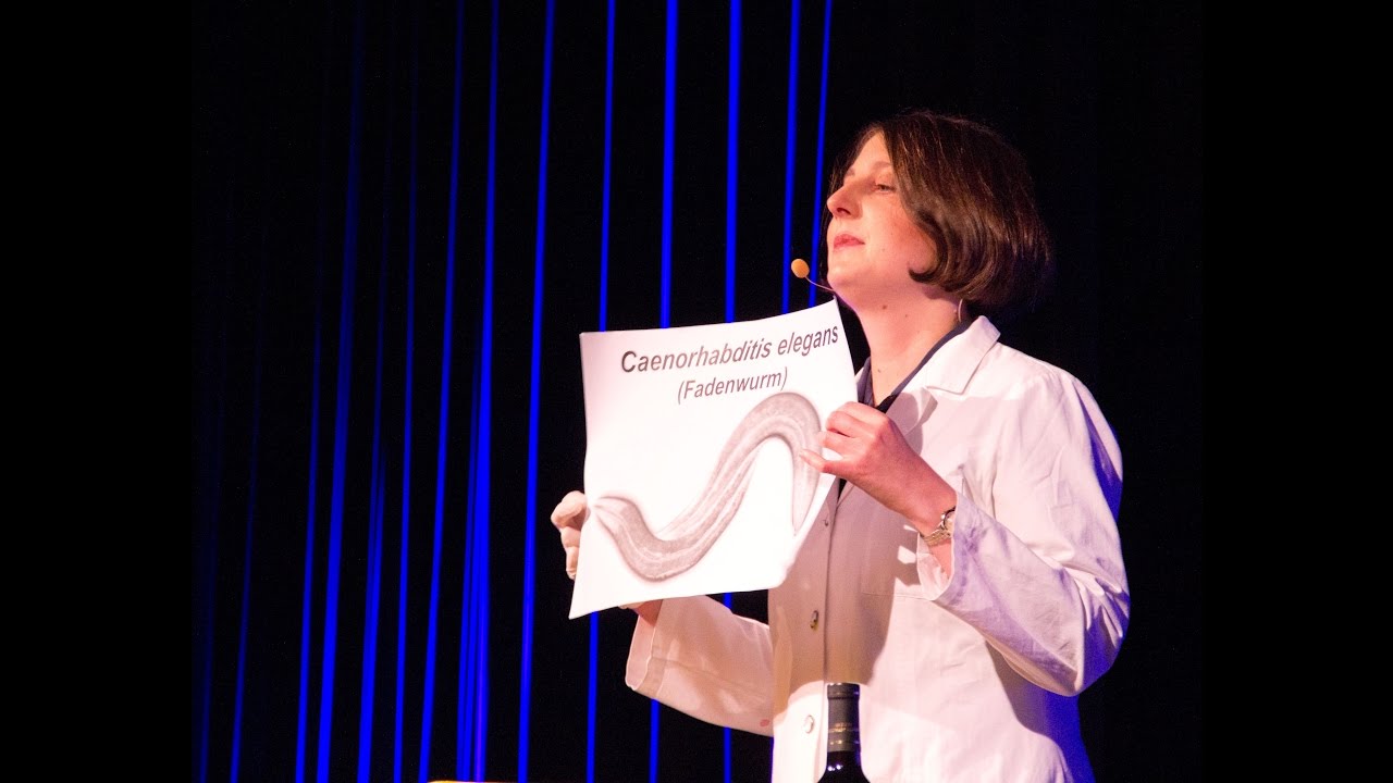 Hildegard Mack: “Die Suche nach dem Jungbrunnen“  (Science Slam Innsbruck 2016)