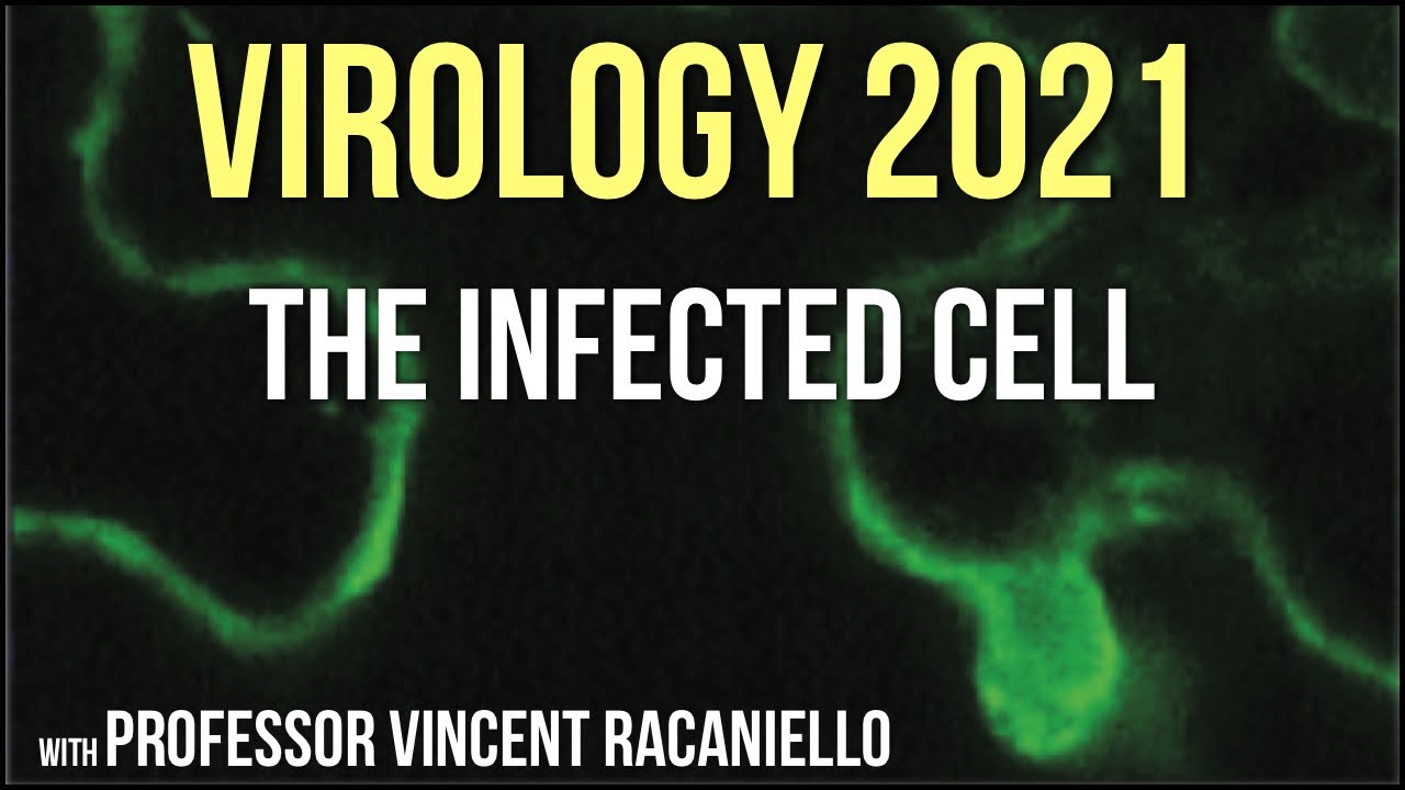 Virology Lectures 2021 #11 - The Infected Cell