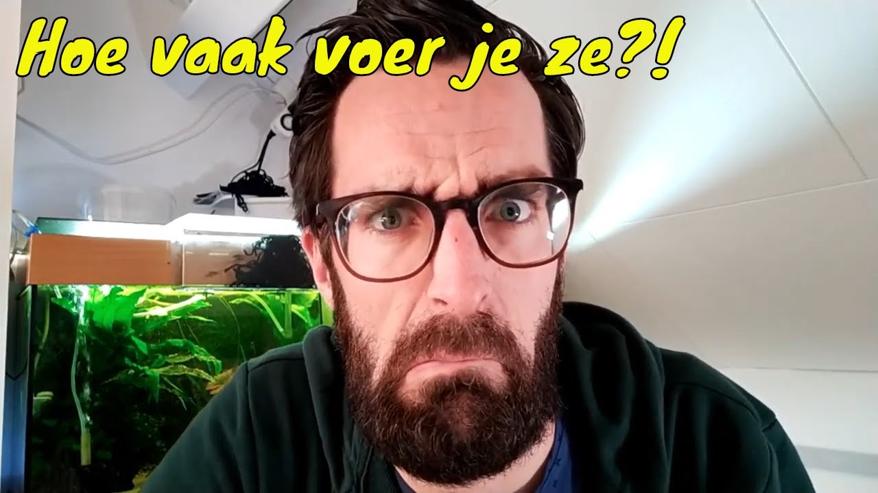 HOE VAAK voer je GARNALEN in het AQUARIUM?