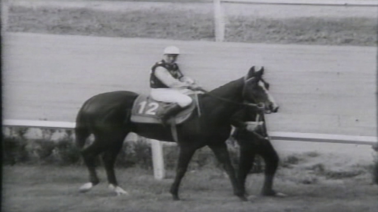 Gazi Koşusu (Grup - 1) 1965