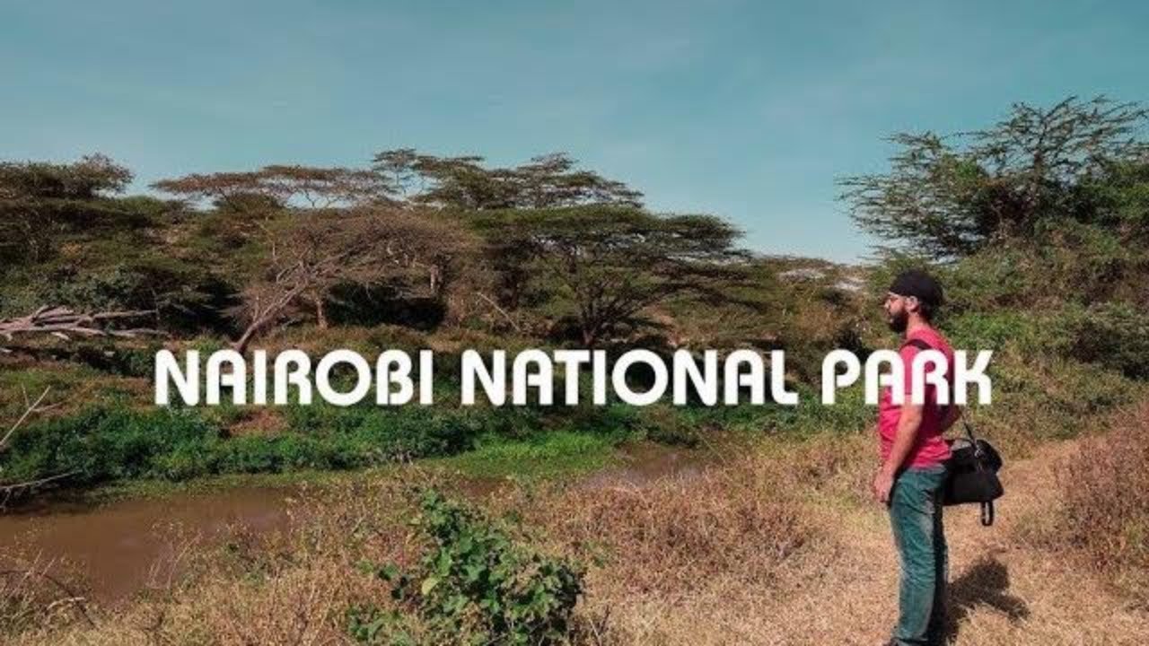 The Only National Park Within A City - Nairobi National park