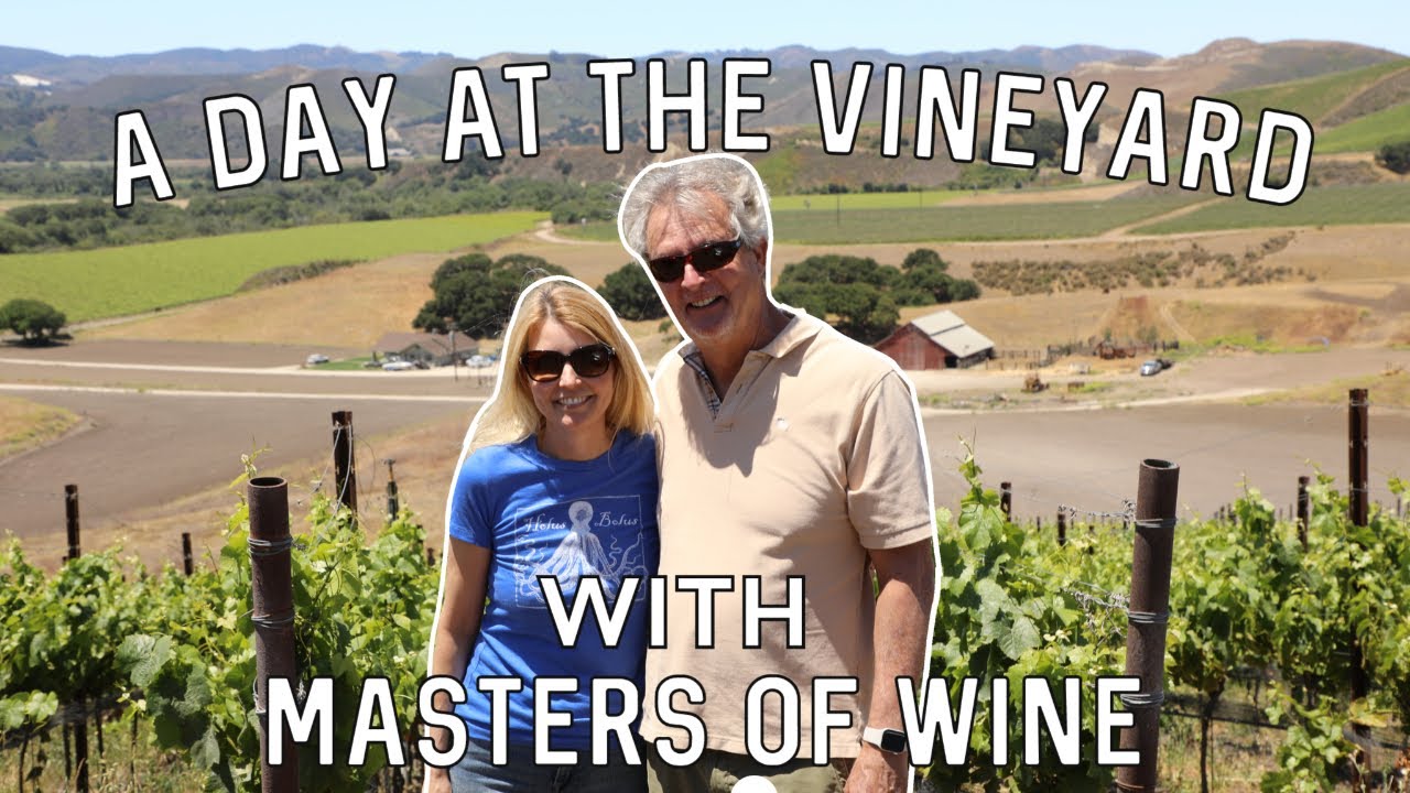 two Masters of Wine visit the Joy Fantastic vineyard