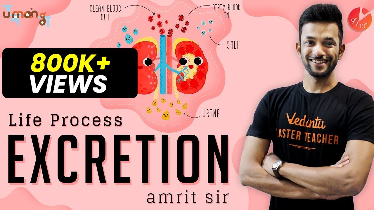 Excretion in Human Beings Class 10 | Life Processes Class 10 Science Biology | Vedantu 9 and 10