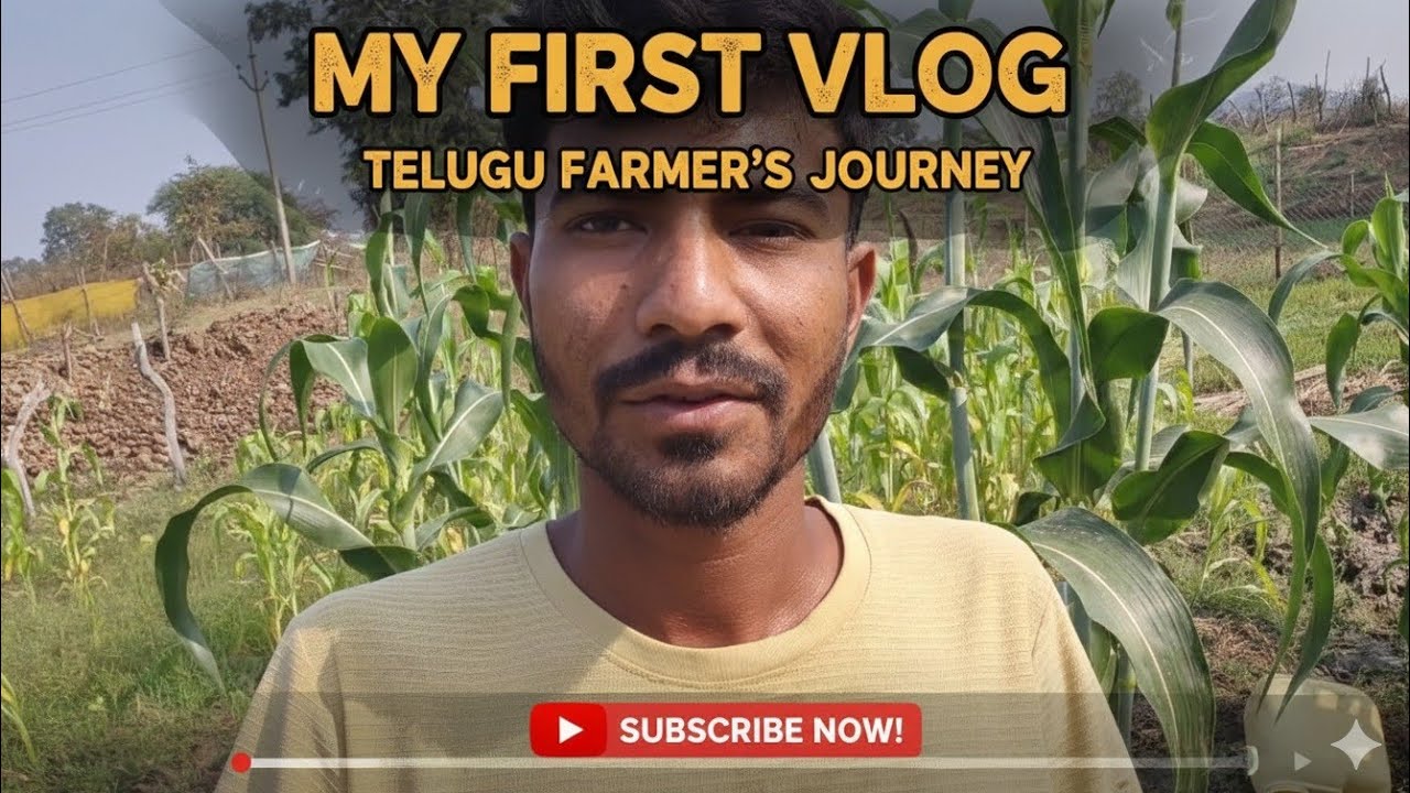  మొదటి వ్లాగ్ చుడండిyoutube in telugu #firstvlog#saivillagechannel#agricluture #vlog 