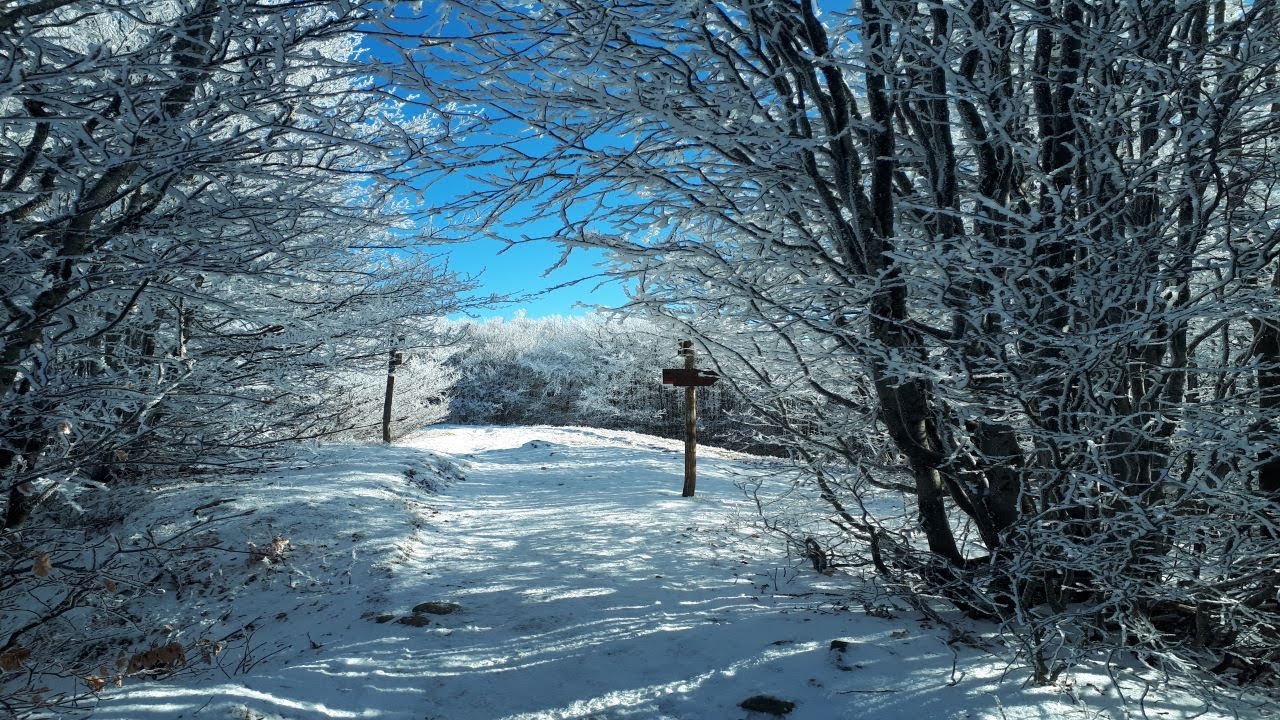 Trekking in freezer - Al Monte Falterona e Falco - Parco Nazionale Foreste Casentinesi