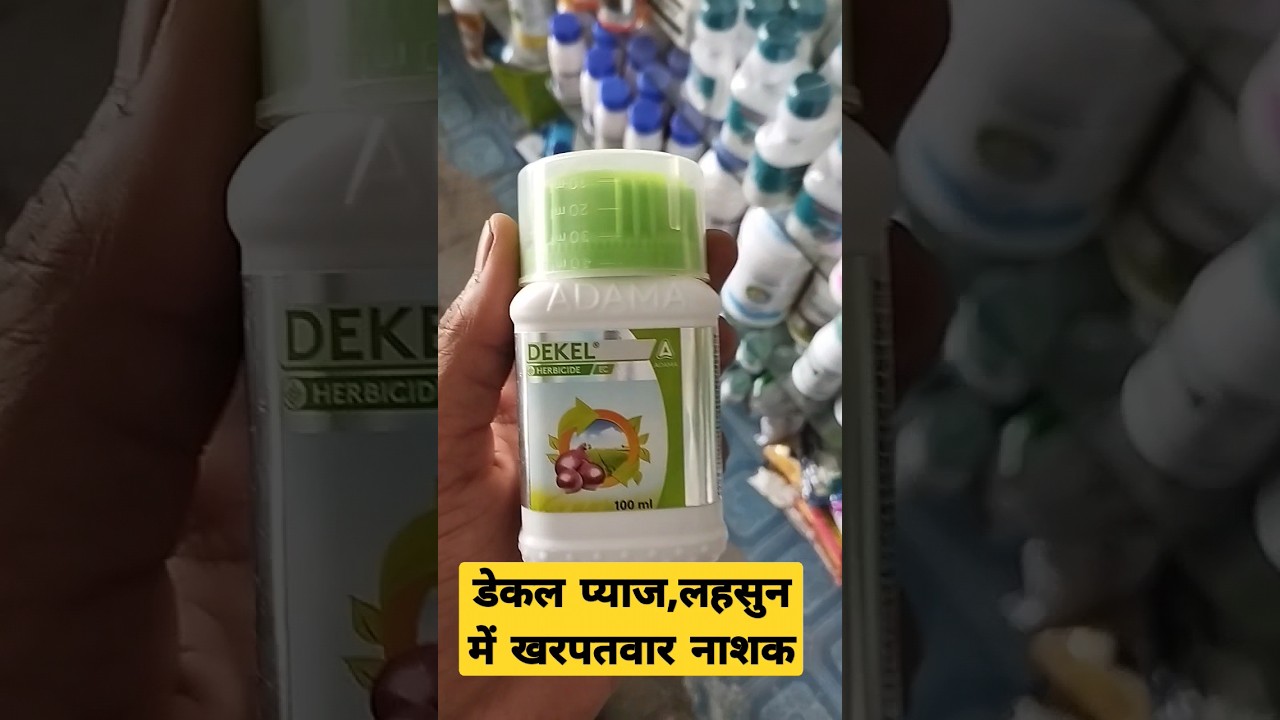 Adama Dekel Propaquizafop 5% + Oxyflurofen 12% EC🧅🧄 Herbicide for garlic and onion, डेकल #shorts