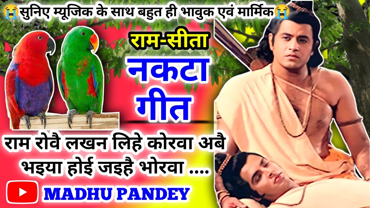 😭#Video Nakta Geet-नकटा गीत| राम रोवै लखन लिए कोरवा|Ram Mandir Ayodhya 2024|Ram Bhajan|रोवेले रघुराई