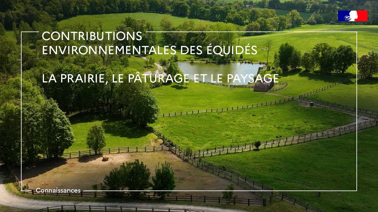 Les atouts verts des équidés -  La prairie, pâturage et paysage