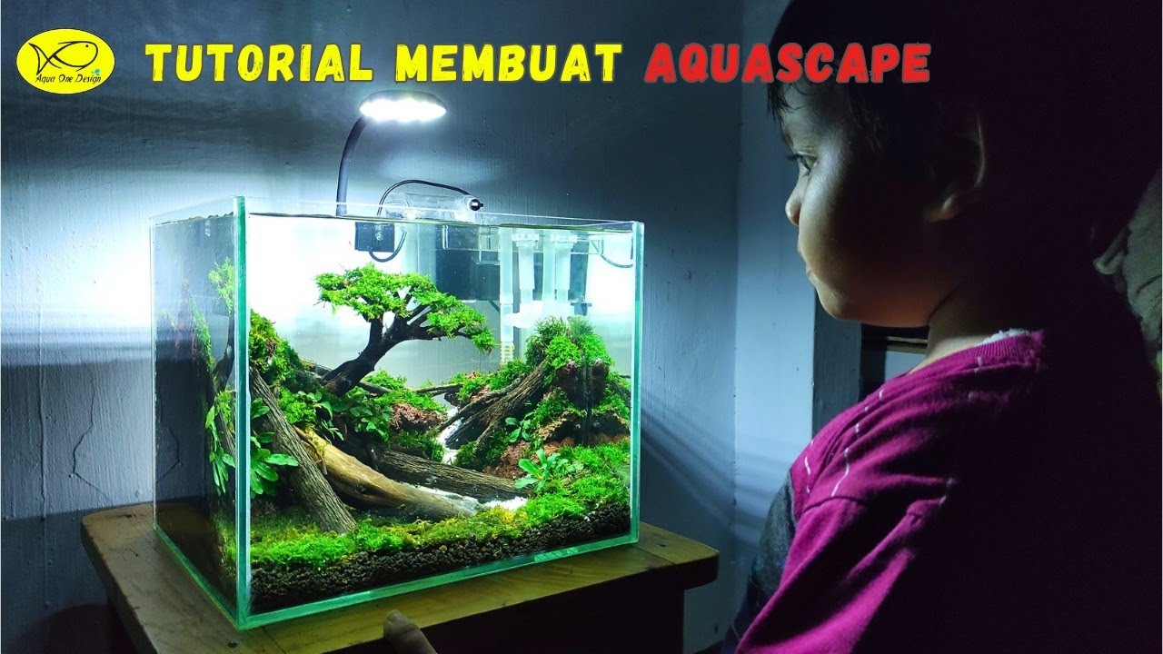 Belajar membuat aquascape mini simpel dan sederhana cocok buat pemula, step by step Aqua One Design