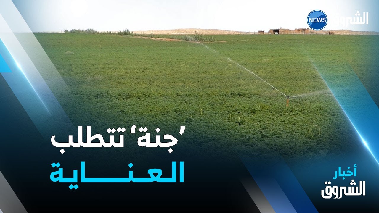 #الأغواط.. مستثمرون بطالبون بتهيئة المسالك وتوفير الكهرباء الفلاحية
