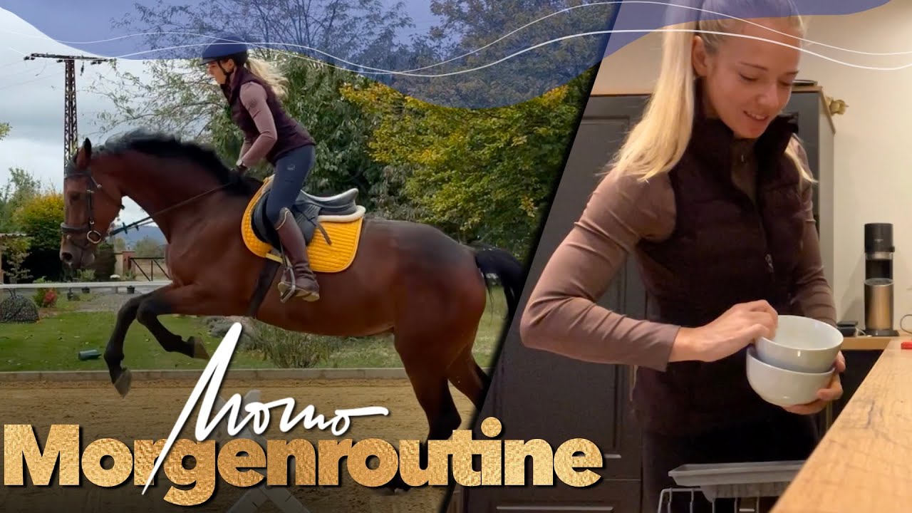 Meine Morgenroutine vorm Stall | Stute lernt fliegende Wechsel | Weekly Vlog #275