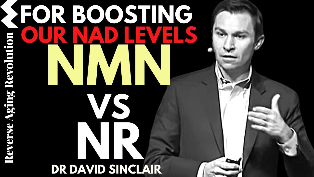 NMN vs NR For Boosting Our NAD Levels | Dr David Sinclair Interview Clips