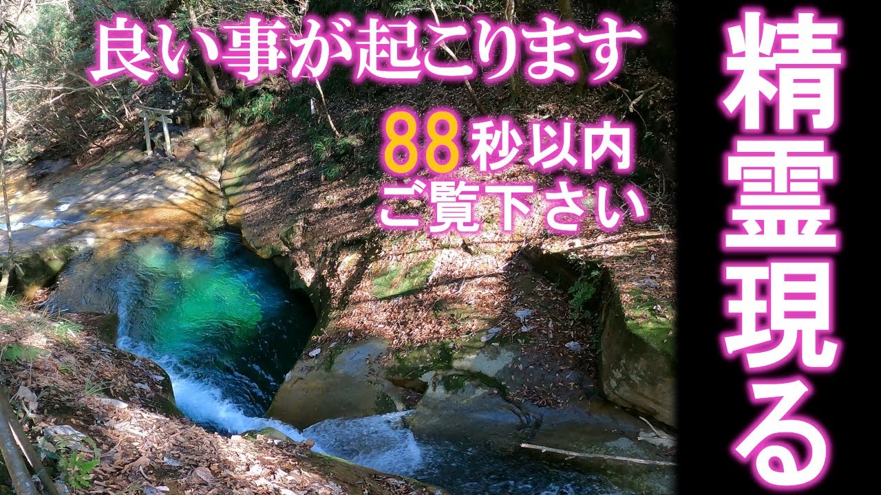 【龍鎮神社】⚠️衝撃映像※精霊の姿を見ることが出来た方は大きな幸せが舞い込み始めます｜遠隔参拝103｜Ryuchin Shrine Japan