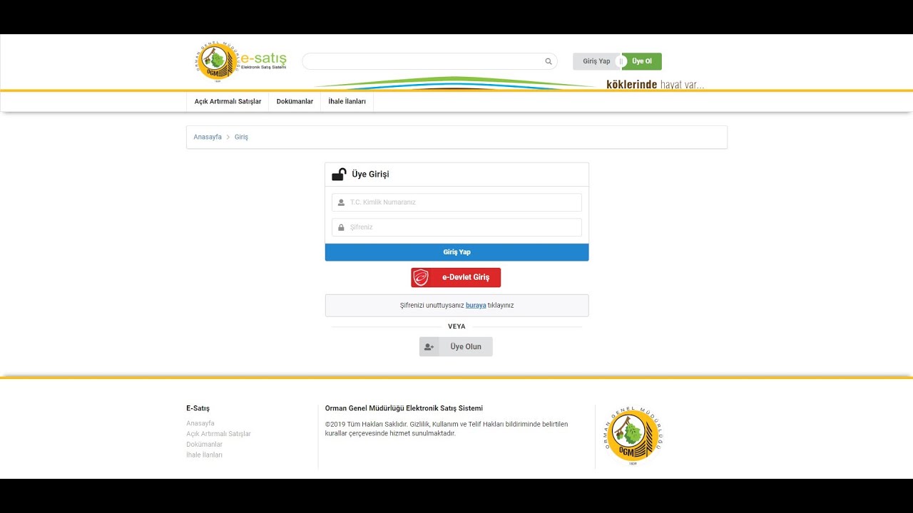 e-satış - İhaleye katılım ve pey işlemleri