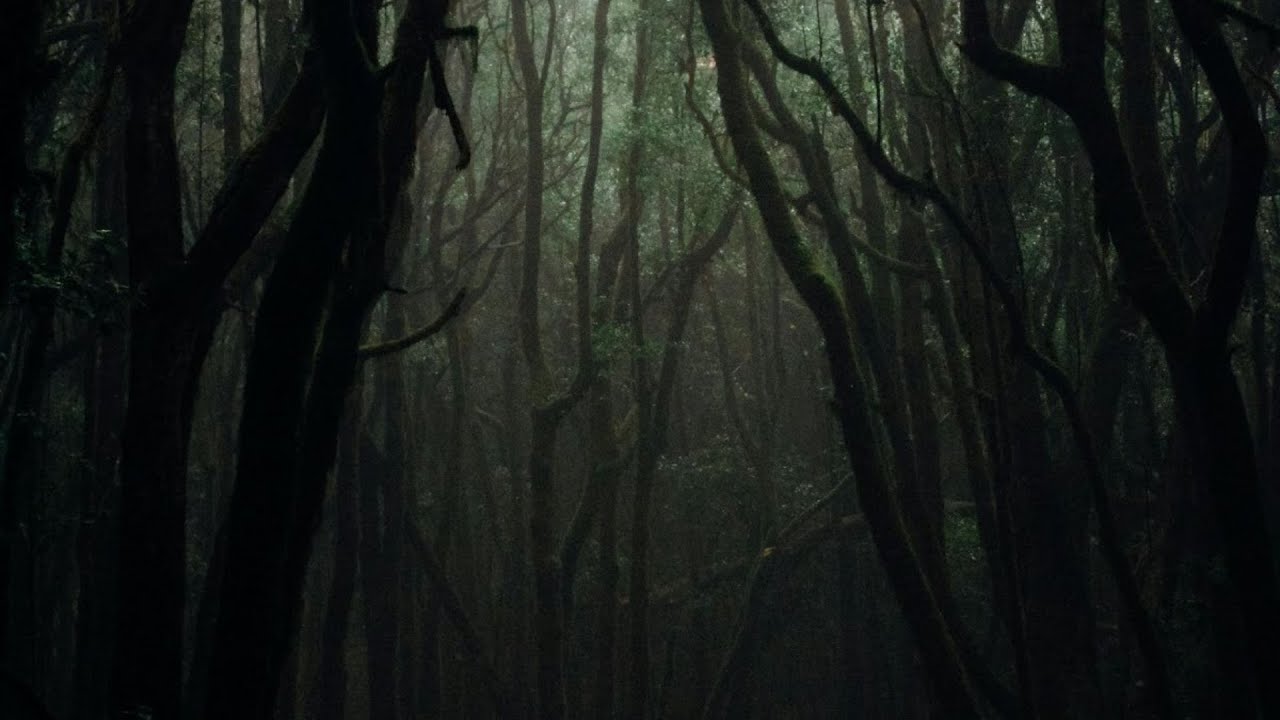 Walks Between Trees