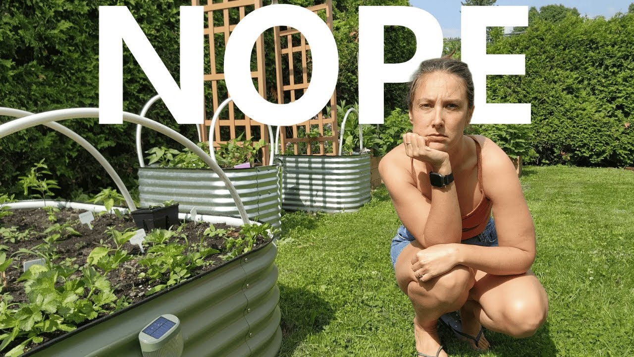 6 Reasons Why You Shouldn't Buy a Metal Raised Bed