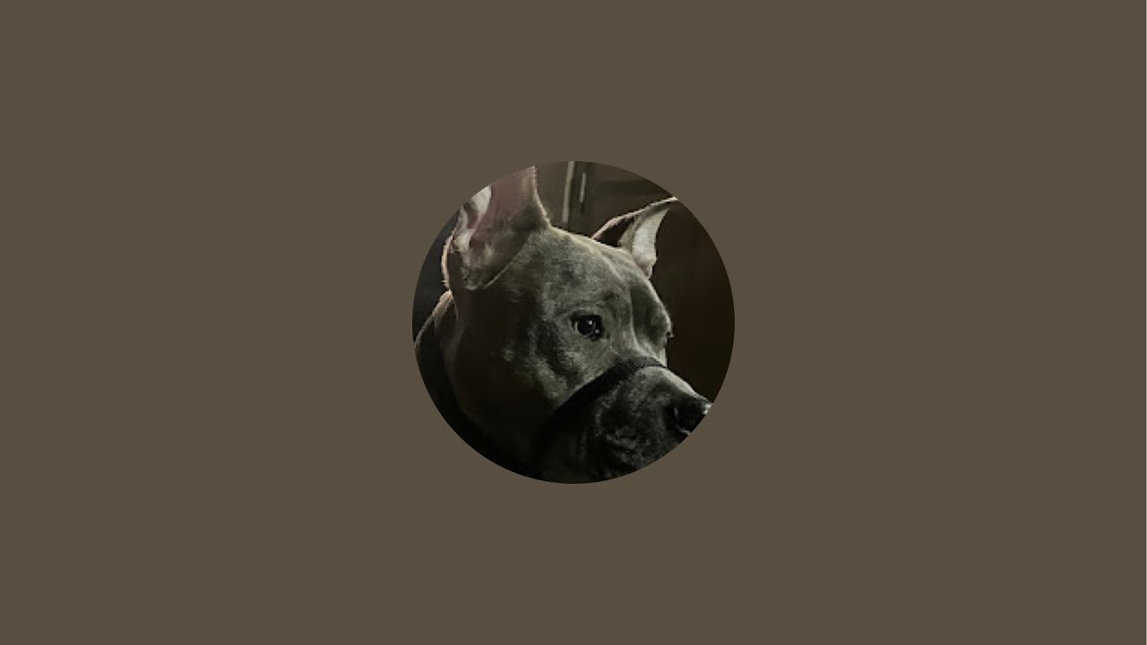 Luna&me is live!