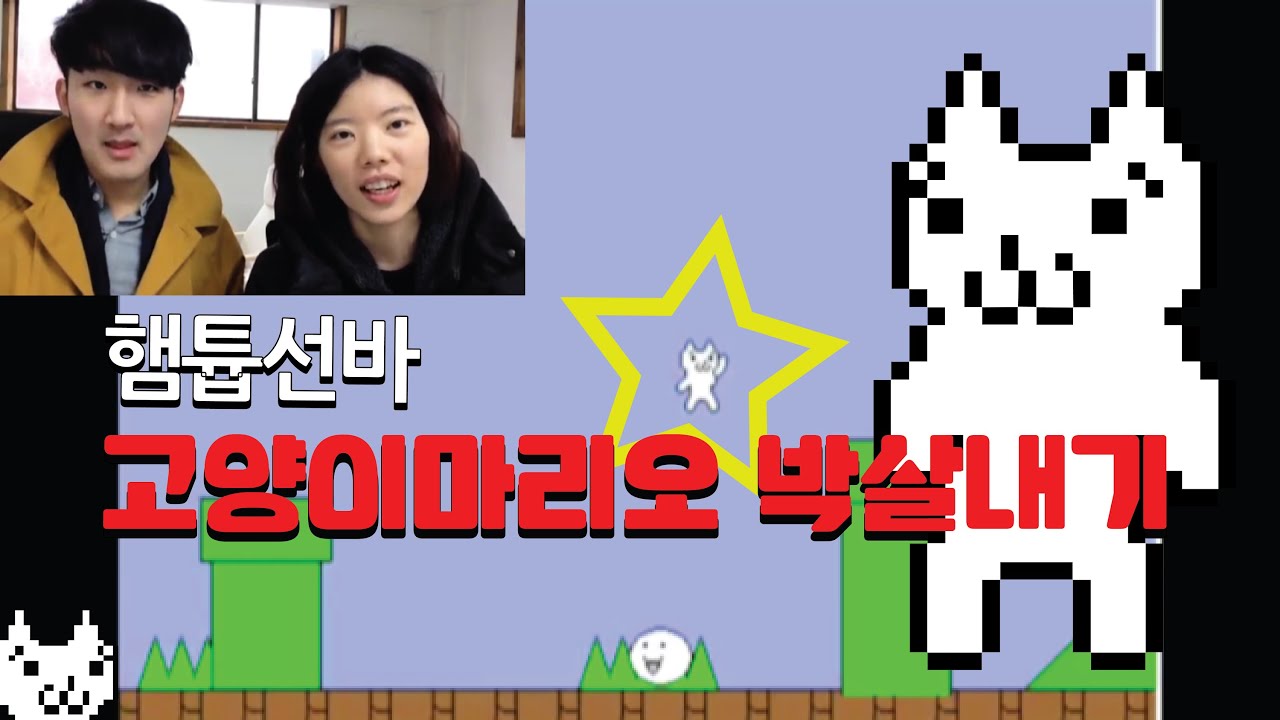 고양이마리오 도전하다! [햄튜브,선바]