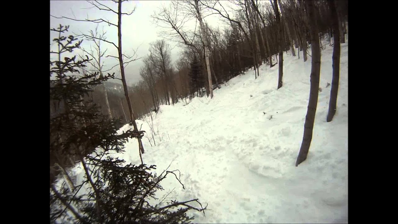 Sugar Valley Glades 3-13-14 Whiteface