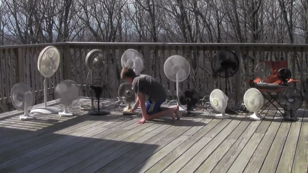 My Collection of Oscillating Fans!