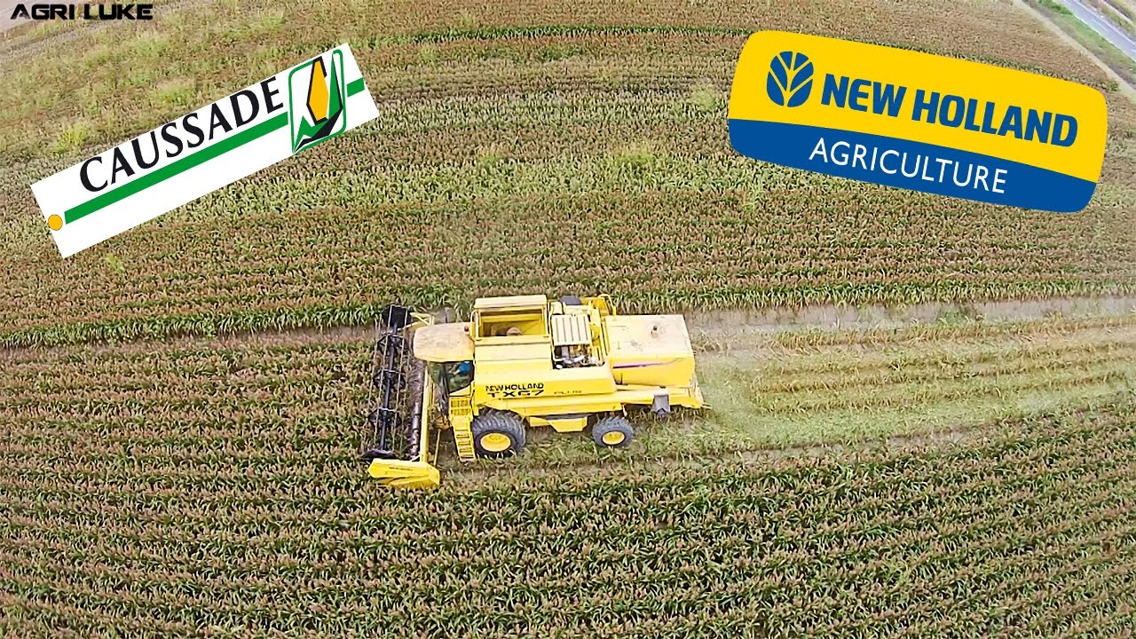 Caussade Semences | New Holland TX67 plus | Trebbiatura Sorgo | Sorghum Thresing