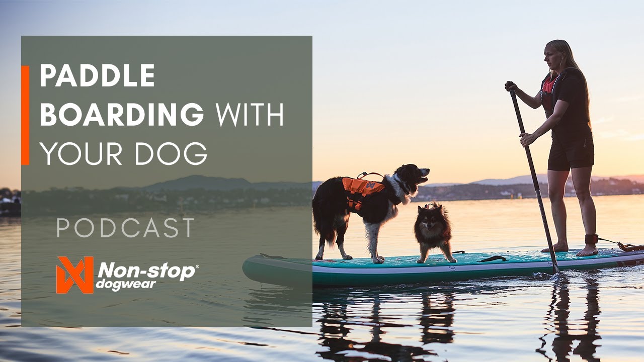 UNLEASHED podcast - Paddle boarding with your dog!
