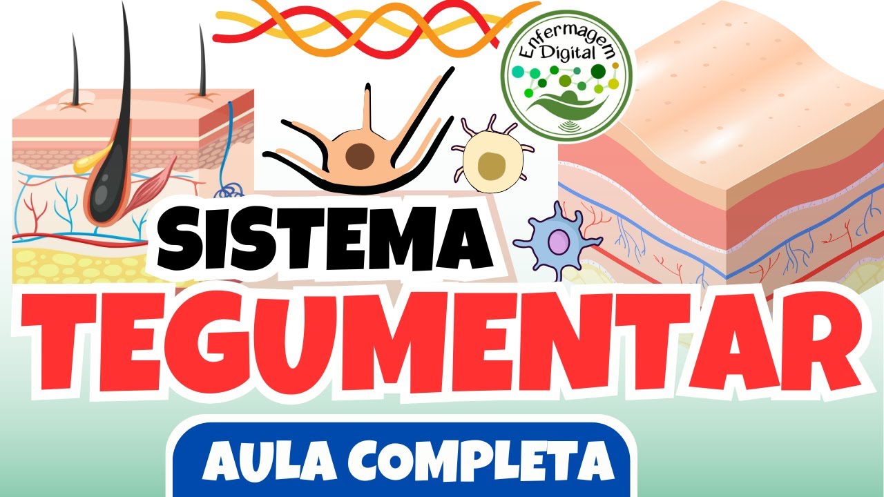 SISTEMA TEGUMENTAR - ANATOMIA DA PELE E SEUS ANEXOS - AULA COMPLETA