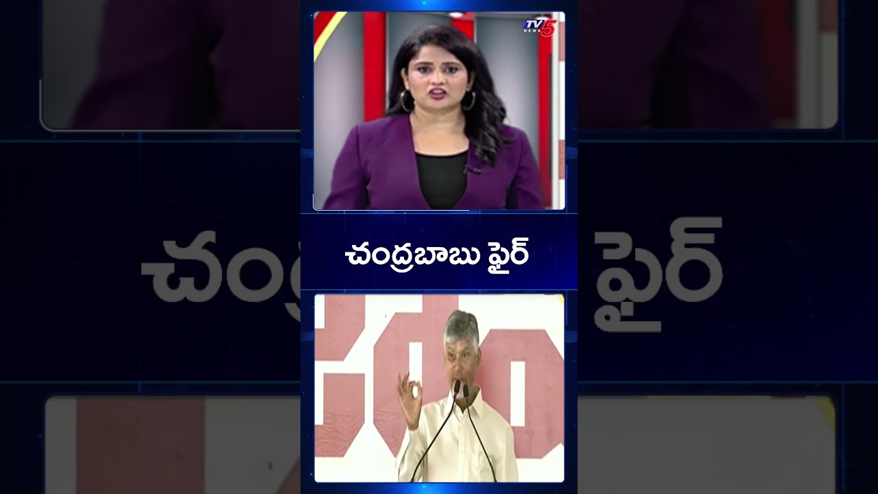 CM Chandrababu Slams YSRCP | AP News || TV5 News